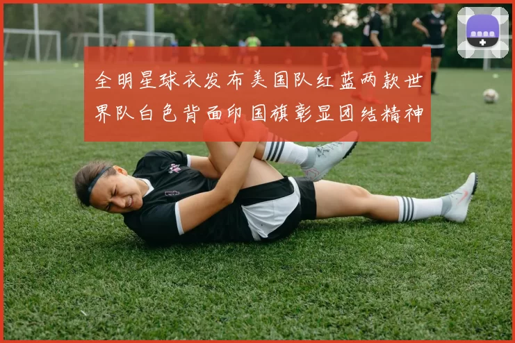全明星球衣发布美国队红蓝两款世界队白色背面印国旗彰显团结精神